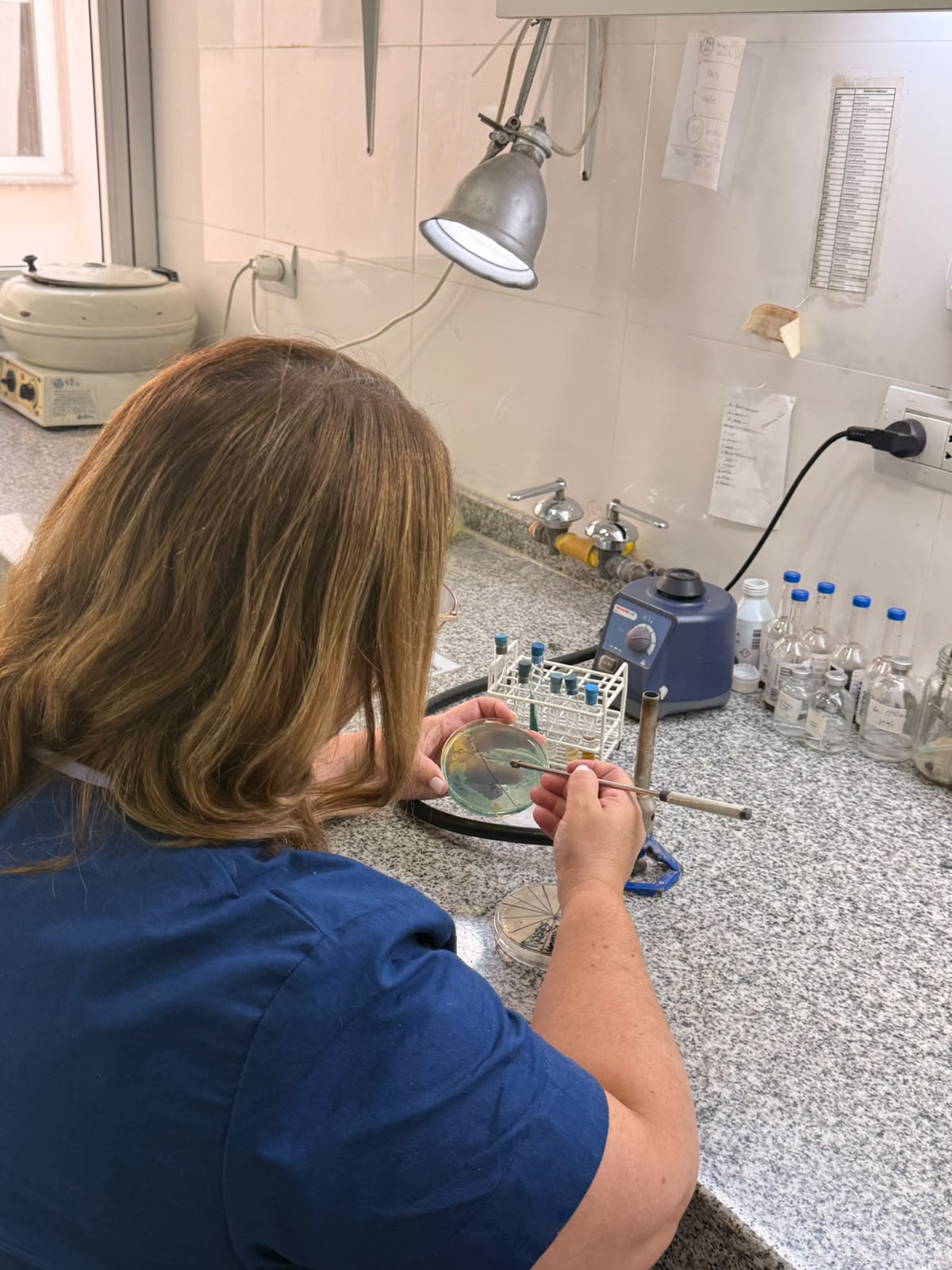 Análisis realizado en el laboratorio